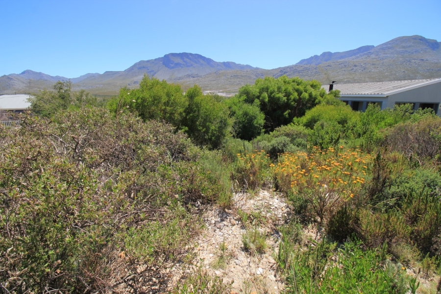 0 Bedroom Property for Sale in Pringle Bay Western Cape